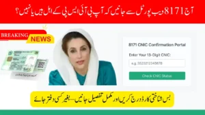 8171 Web Portal CNIC Confirmation for 13500 Check Online for BISP 2025 Eligibility and Status
