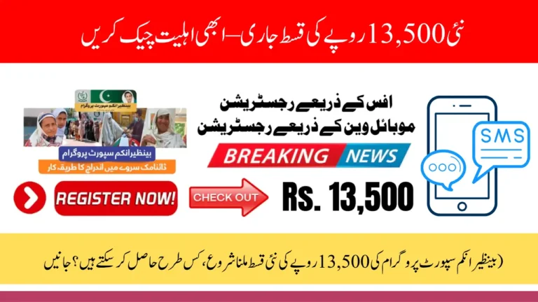 Benazir Income Support 8171 Hidden Steps to Get 13,500 Payments Quickly
