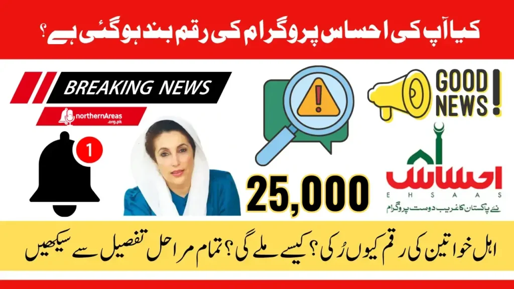 8171 Ehsaas Program 25000 BISP News – Latest Status & Secret Eligibility Check Revealed