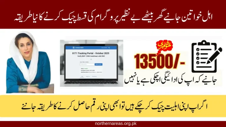 BISP 8171 Check CNIC Online Portal – Quick Way to Confirm Your October 2025 Payment