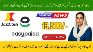 BISP 8171 New Payment Method 2026 via JazzCash or Bank & Say Goodbye to Queues