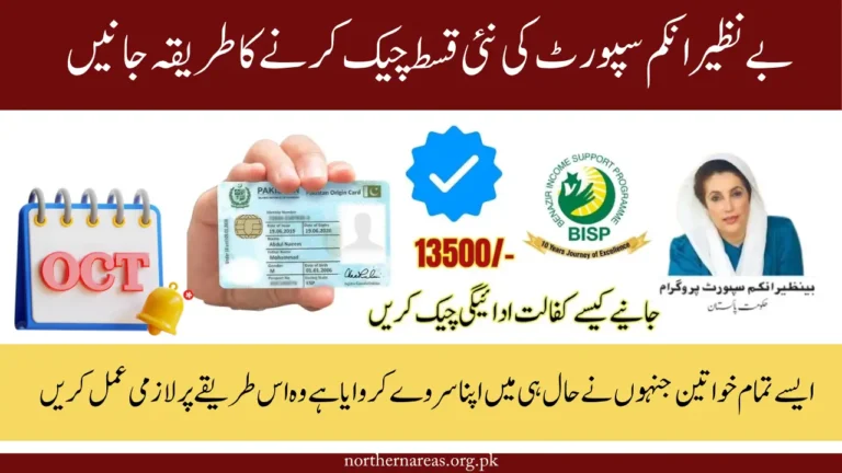 BISP 8171 Payment Check Procedures – A Complete Easy Guide