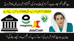 Know How to Check BISP 8171 Payment Status for All Provinces | October Update