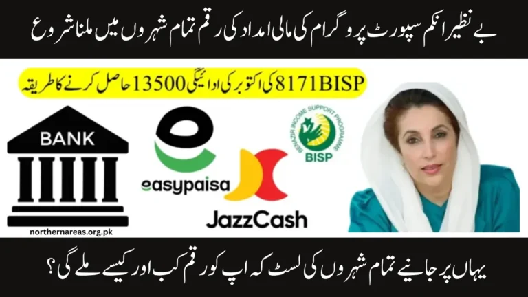 Know How to Check BISP 8171 Payment Status for All Provinces | October Update