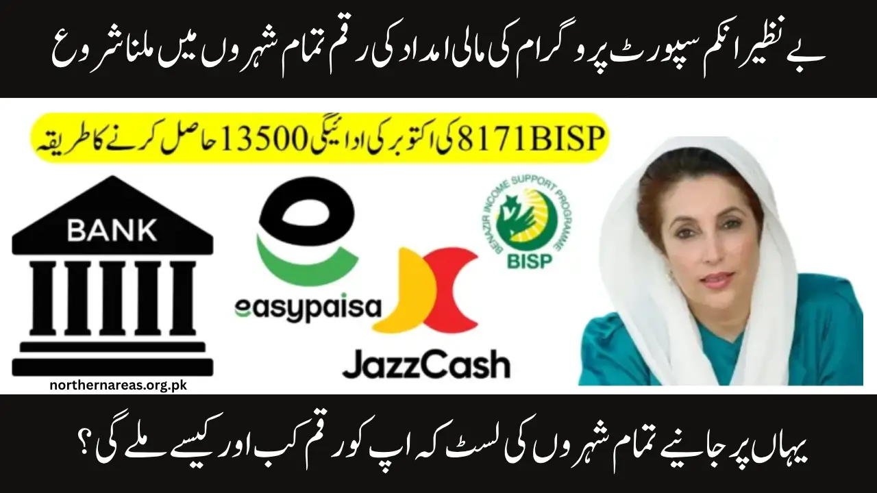 Know How to Check BISP 8171 Payment Status for All Provinces | October Update