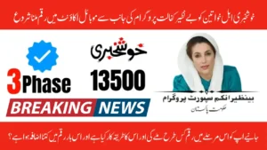 BISP 8171 Phase 3 December 2026 Sindh Payment Dates, Centers & Online Check Method