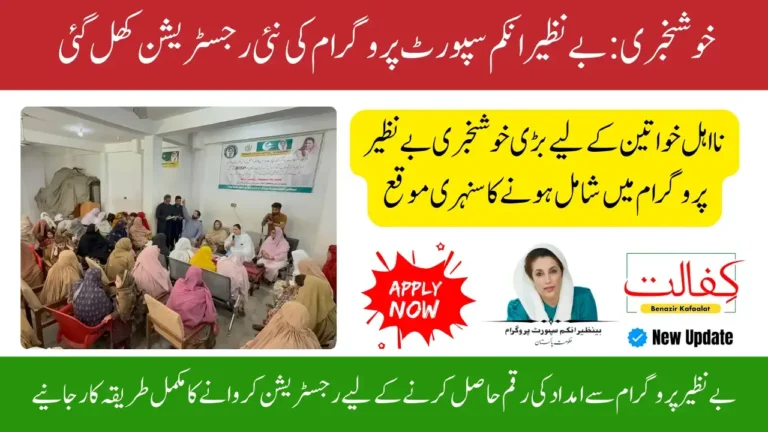 Benazir Kafaalat Nov–Dec Payment Updates: What’s New, Who Gets Paid, and How to Check