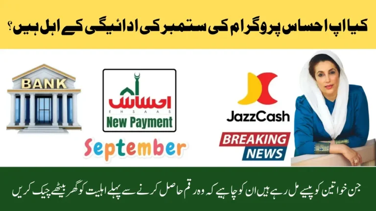 Ehsaas Program 8171 September 2025 Full Step By Step Guide for Registration and Payments