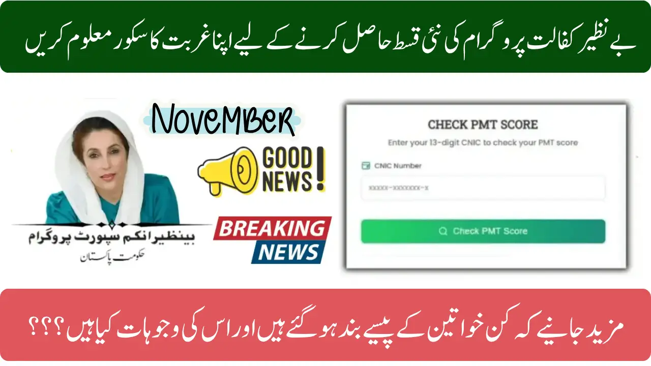 Official Method: PMT Score Check Online by CNIC Pakistan – See If You Qualify for BISP or Ehsaas Cash