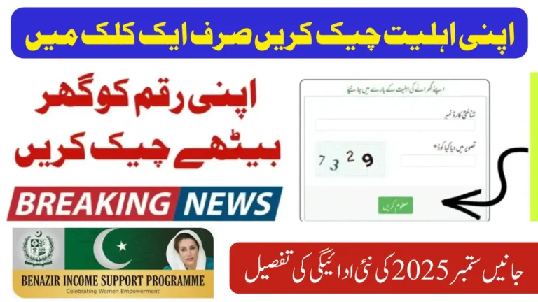 BISP 8171 CNIC Check September 2025 - Simple Way to Know Your Support Status