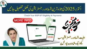 BISP Web Portal October 2025 Update – Currently Payment & Registration Details