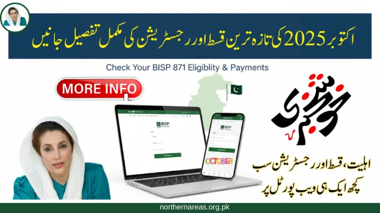 BISP Web Portal October 2025 Update – Currently Payment & Registration Details