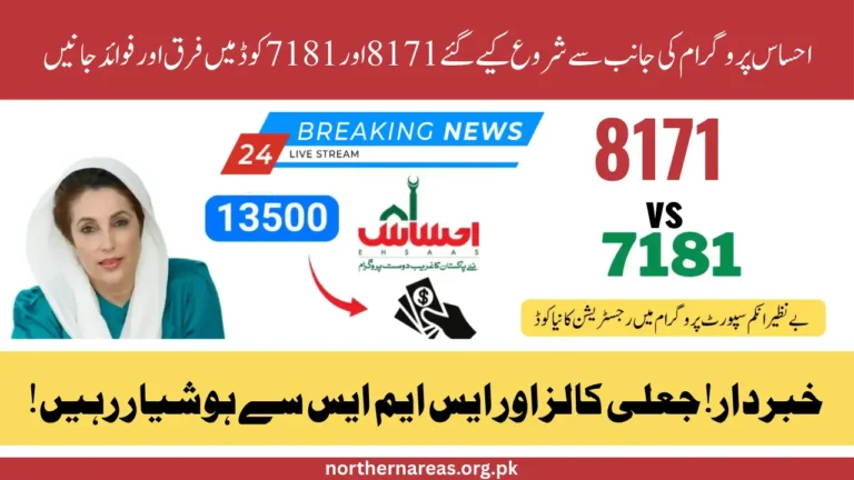Ehsaas Program 8171 vs 7181: Official SMS Services Explained & How to Avoid Scams