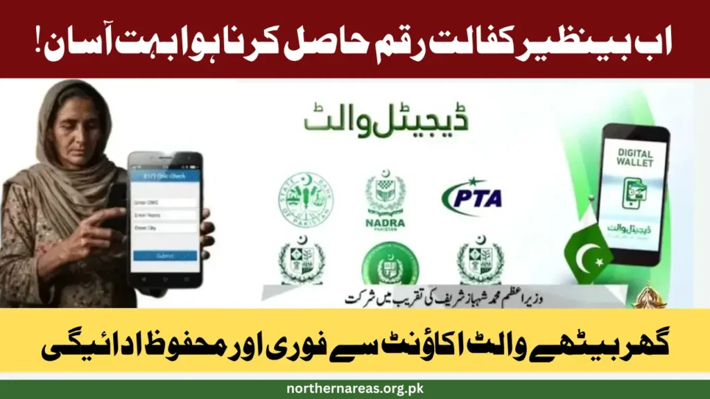 NADRA Biometric BISP Cash Payments 2025: How Women Can Get Cash Easily at Home