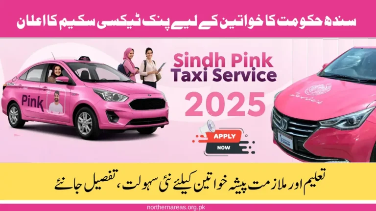 Government Announces Pink Taxi Scheme for Women - Here's How To Apply