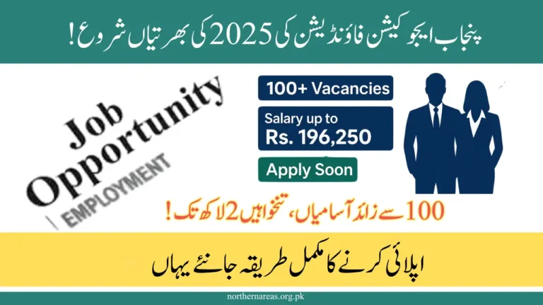 Punjab Education Foundation (PEF) jobs 2025 - Complete Guide to 100+ PEF Vacancies, Salaries & How to Apply