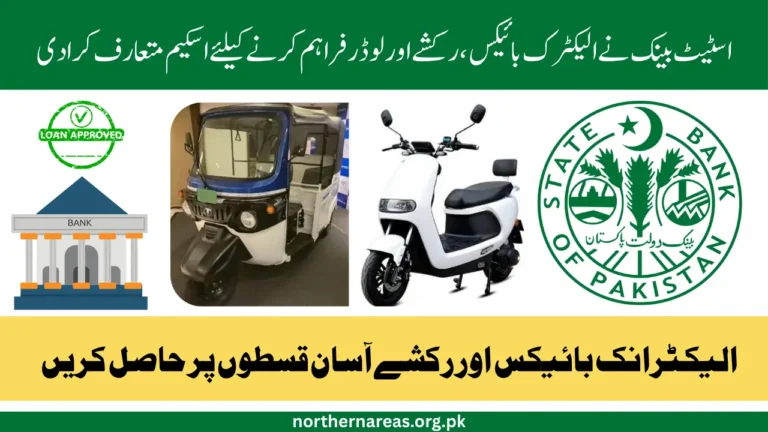 SBP E-Bikes and Rickshaws Scheme: Know Here's Phase-Wise Details, Loans and Quotas