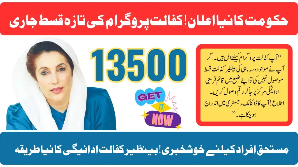 What to Do If You Didn’t Receive Your Quarterly Benazir Income Support Programme Payment - Dynamic Registry & Local Payment Centre Guide