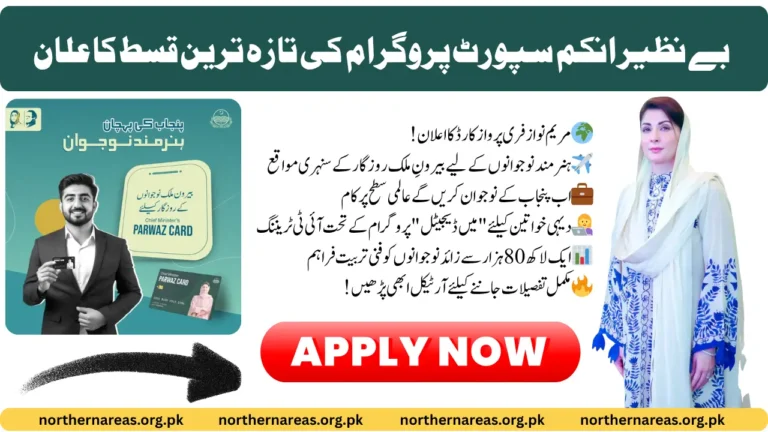 How the Maryam Nawaz Free Parwaz Card Will Open Overseas Job Opportunities for Skilled Youth