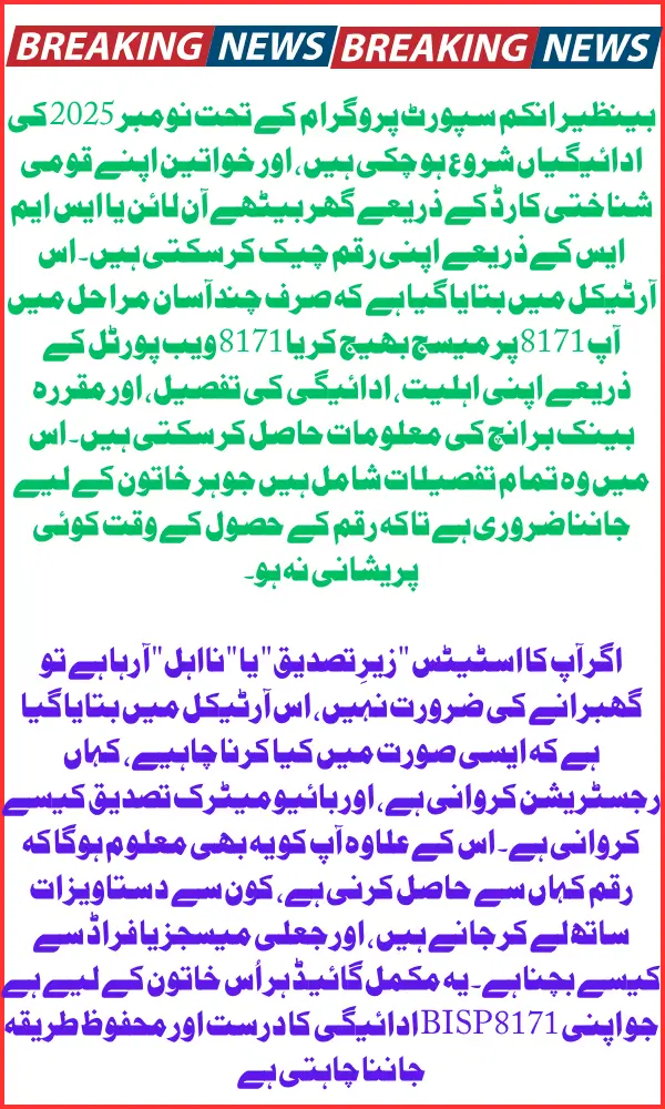 BISP 8171 November Payments Check Online By Women National ID Card