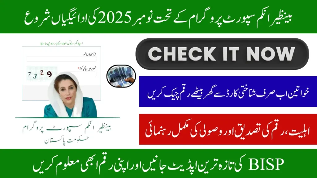 BISP 8171 November Payments Check Online By Women National ID Card