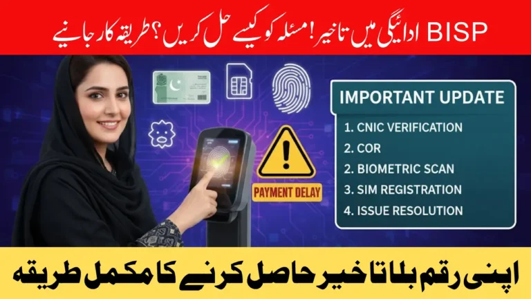 BISP 8171 Payment Delay Issues Solved: Complete Guide to Fix CNIC, Biometric & SIM Problems