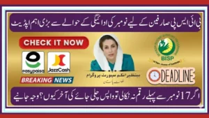 Benazir Income Support Programme Payment Deadline: Complete Guide Before New Digital System Launches