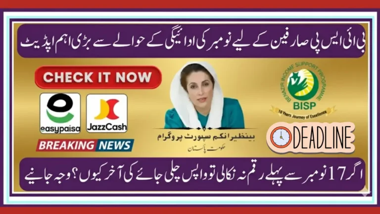 Benazir Income Support Programme Payment Deadline: Complete Guide Before New Digital System Launches
