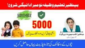 Tracking Your Educational Stipend: Benazir Taleemi Wazaif November Payment Guide