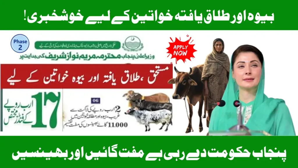 Punjab Govt Announces Free Cows & Buffalos for Widows And Divorced Women By Livestock Program Phase 2; Here's How To Apply?