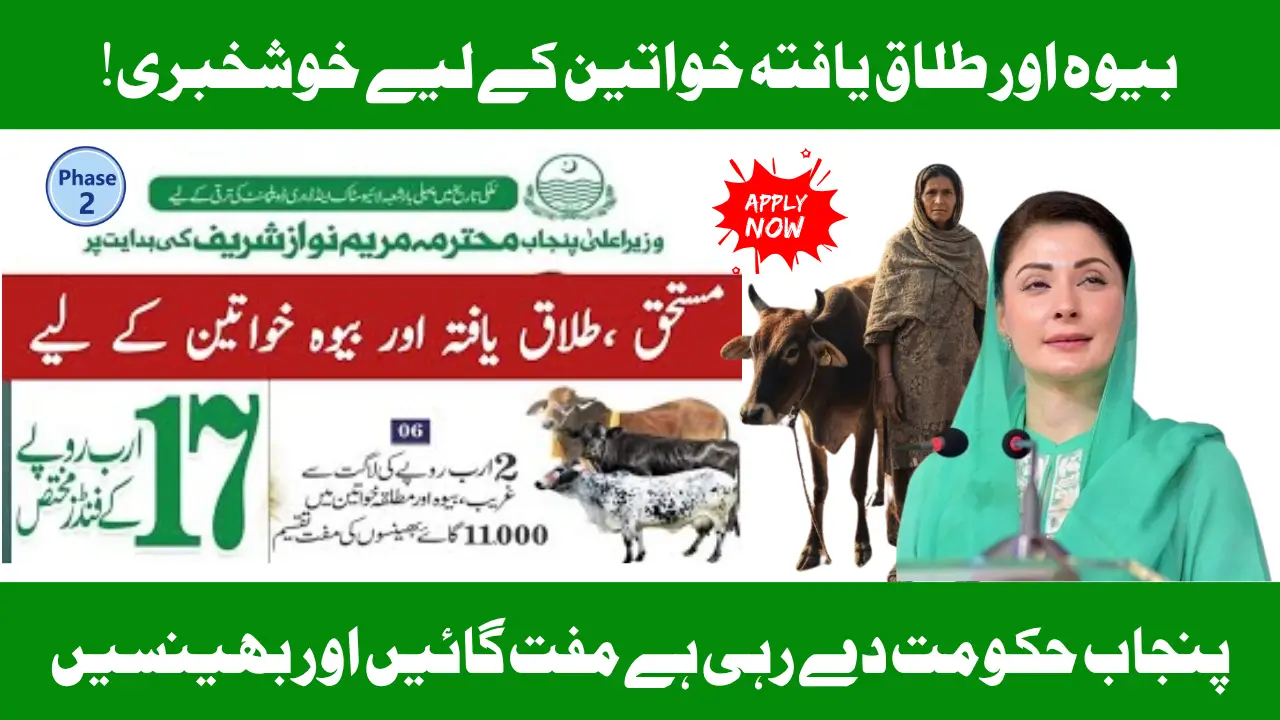 Punjab Govt Announces Free Cows & Buffalos for Widows And Divorced Women By Livestock Program Phase 2; Here's How To Apply?