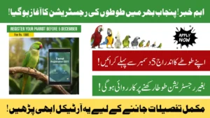 Parrot Registration Deadline 5 December 2026: Know How to Register Your Parrot Online Step-By-Step Guide