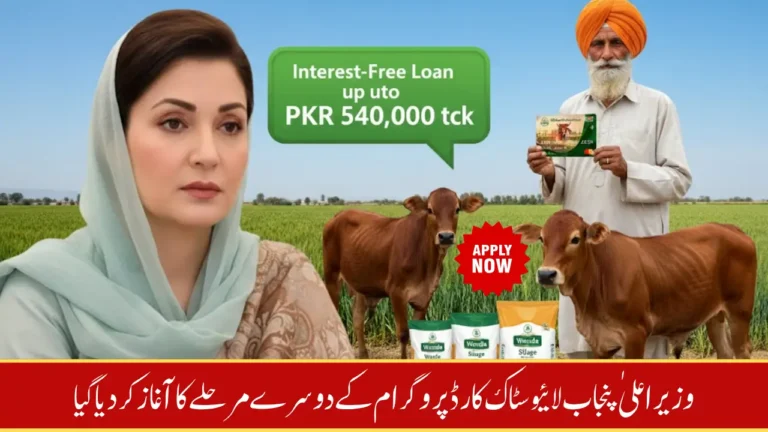 Punjab Livestock Card Program Phase 2 Launched – Interest-Free Loans up to PKR 540,000 for Cattle Farmers