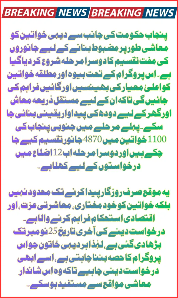 Punjab Livestock Program Phase 2 Applications Are Open for Rural Women Until 25 Nov 2025 Know Step-By-Step Method