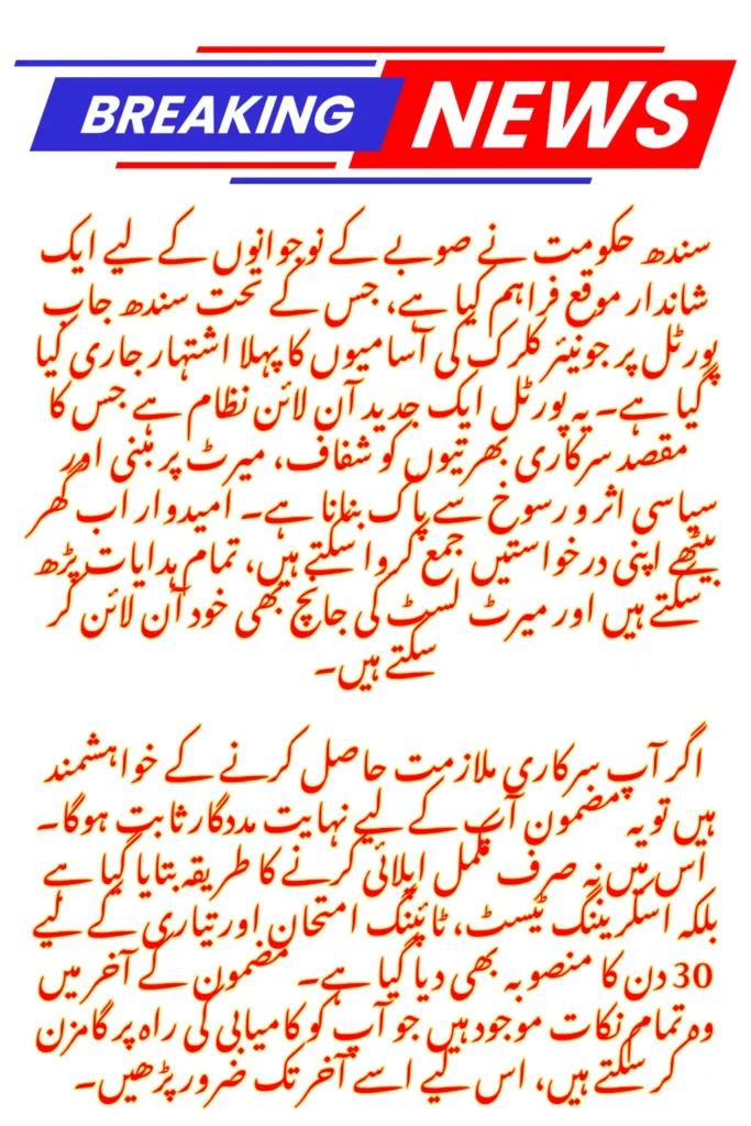 How to Win a Sindh Job Portal Junior Clerk Position in 2025: Step-by-Step Application, Screening Test Tips & Transparency Checklist