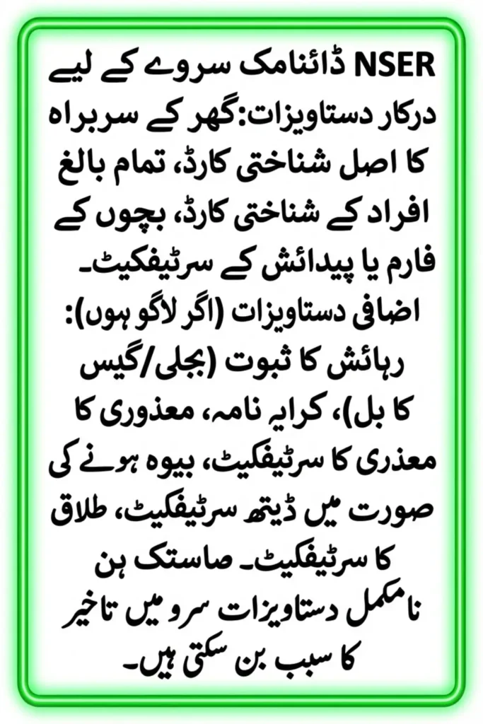 Complete Guide to Enrolling Your CNIC in the NSER Dynamic Registry for Government Assistance