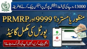 Portal for 13000 Cash Program Status PRMRP NITB Gov PK 9999 Complete Guide to Check PKR 13,000 Payment Online